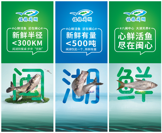 同时,依托闽湖秀丽的自然景观优势,建立起集“养殖、管护、捕捞、销售、旅游”为一体的产业链条,把渔业生产经营与创建新型生态休闲渔业旅游相结合。通过有效宣传推广,主打“临湖而居”的闽湖房车露营地已成为游客打卡的热门目的地。