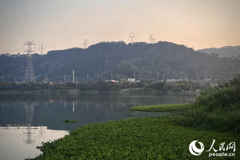 九龍江西溪北岸城市生態廊道風景。人民網 錢嘉禾攝