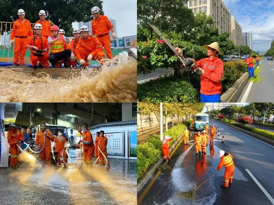 张明 《橙色力量》
