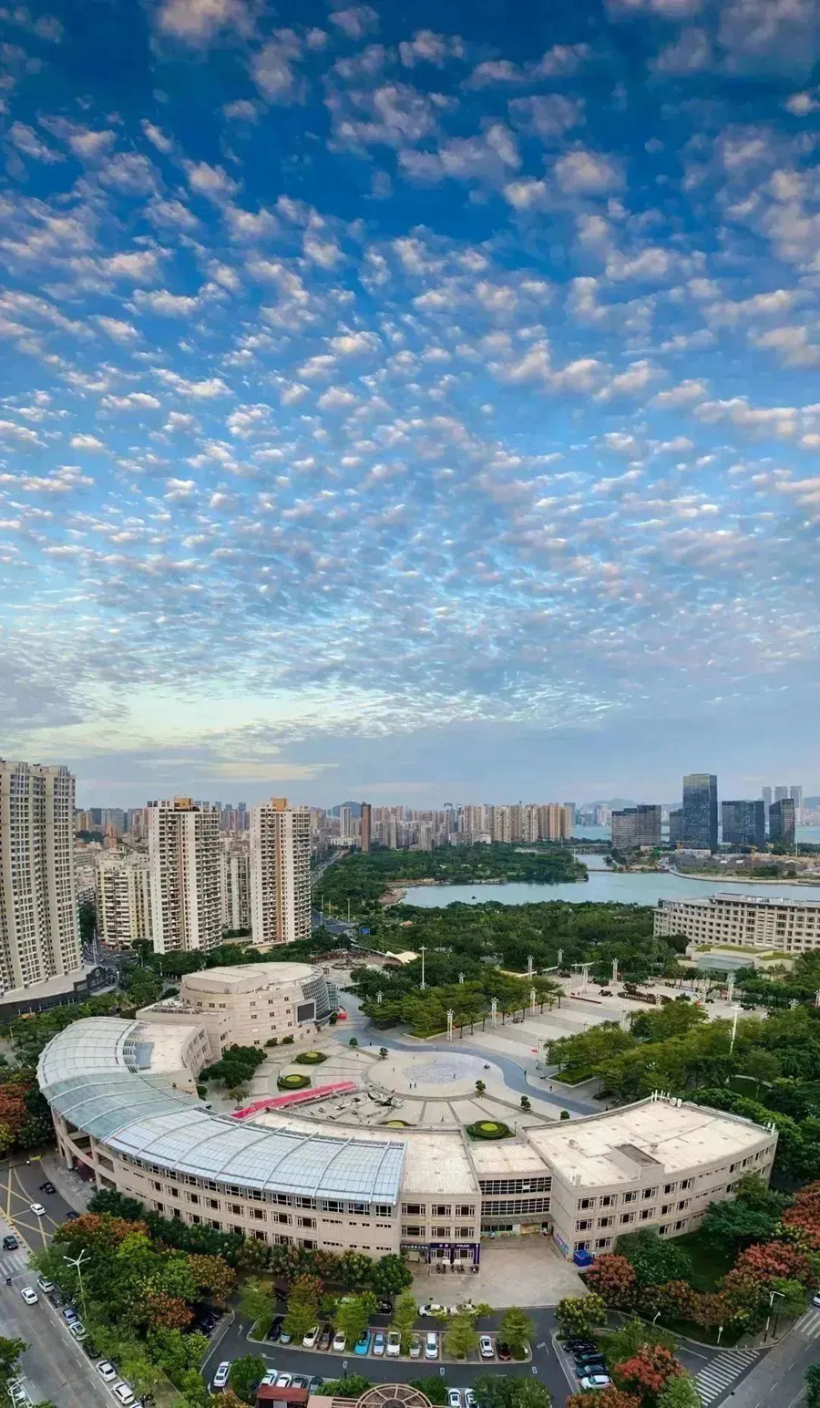 胡杰《绿荫下的市民广场》