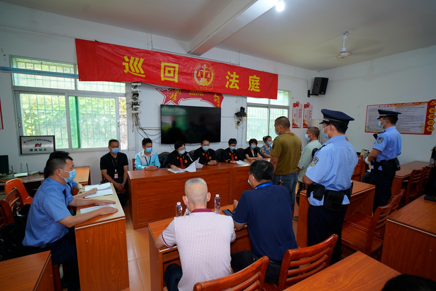 同安法院行政与环境生态审判庭对厦门市首起危害国家重点保护植物罪刑事附带民事公益诉讼案件进行巡回审判。同安法院供图