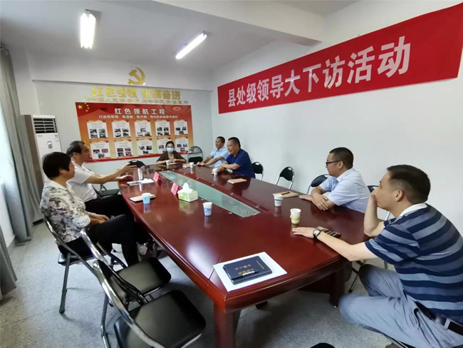 縣處級領導大下訪大接訪活動。