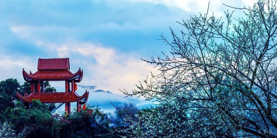 《梅阁春晓》 许少球摄