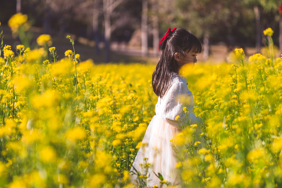 頭戴紅色蝴蝶結的小女孩在花田中游玩。許秋珩攝