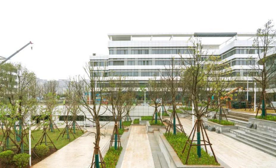 中建海峡福州滨海新城综合医院（一期）项目绿意随处可见。中建海峡供图