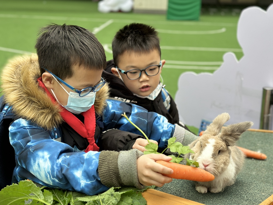 同學們在操場上與“福兔”互動。 福州市中山小學供圖