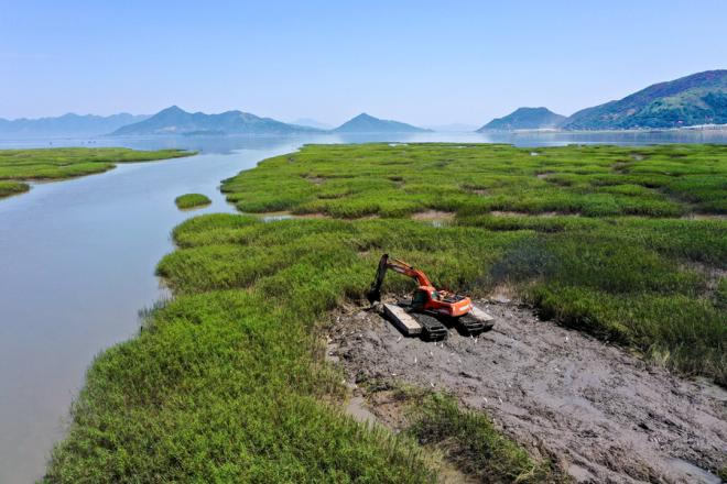 寧德市蕉城區沿海灘涂互花米草除治現場。黃海攝