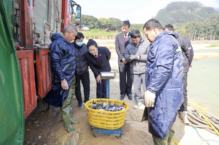 抽检、测温、称重