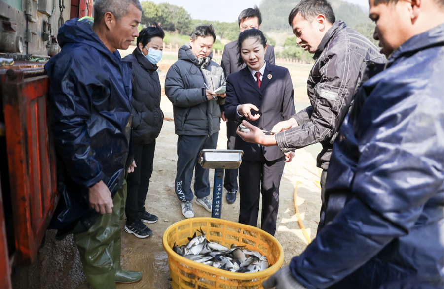 抽检、测温、称重