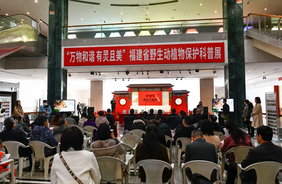 活动现场。福建省林业局供图