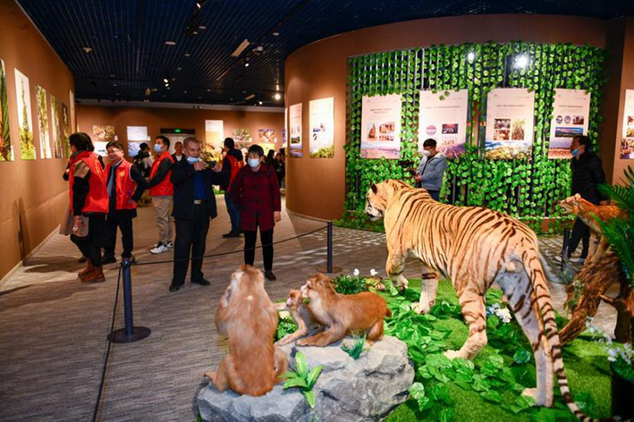 现场展出精美野生动植图片180余幅、标本20余件。福建省林业局供图