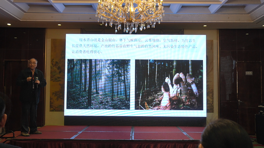 林下竹荪富农家项目介绍。