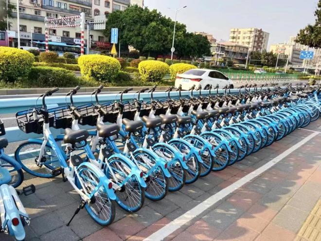哈啰單車新車。庄燒逸攝