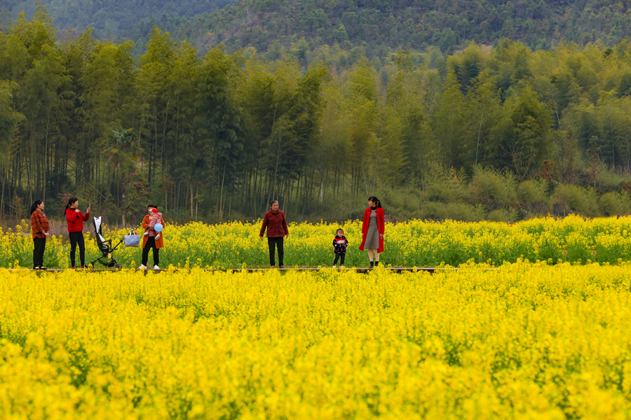 游客们在金色花田里踏青赏花、拍照，其乐融融。黄尉峰摄