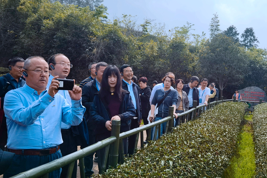 學員在燕子窠生態茶園調研。科技部農村科技司供圖