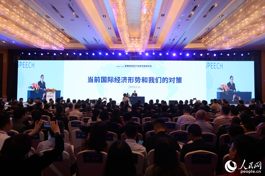 专家学者发表主题演讲。人民网 陈博摄