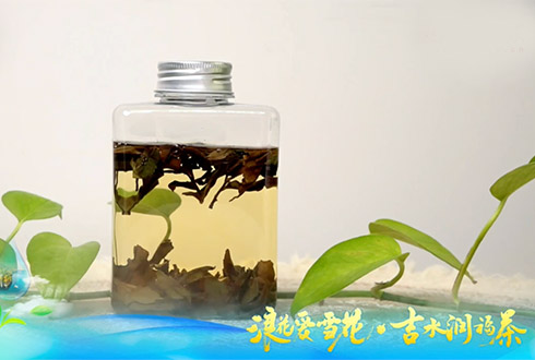 跨越千裡！長白山天然火山礦泉邂逅福建春茶