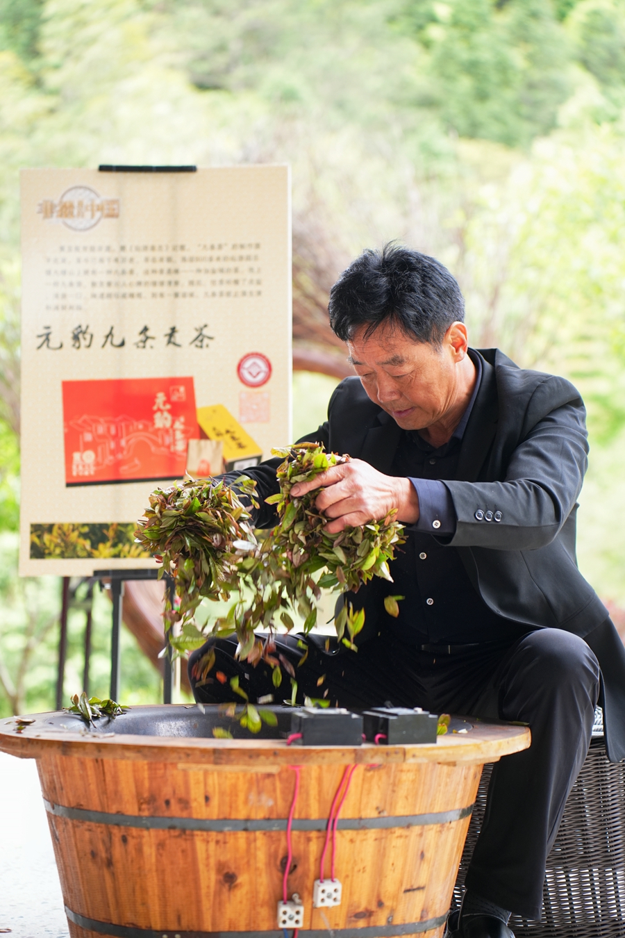 非遗传承人正进行九条茶制作。陈晓威摄