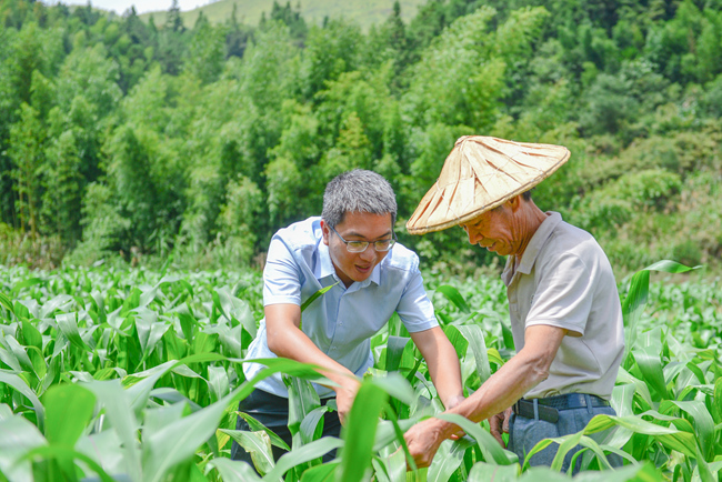 機關干部駐村鍛煉。