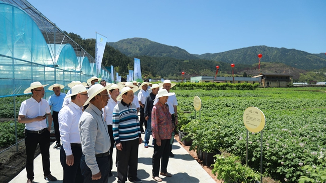 嘉宾参观（宁德）.jpg