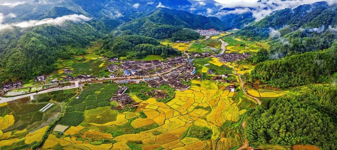 新罗区绿盈乡村环境质量提升工程