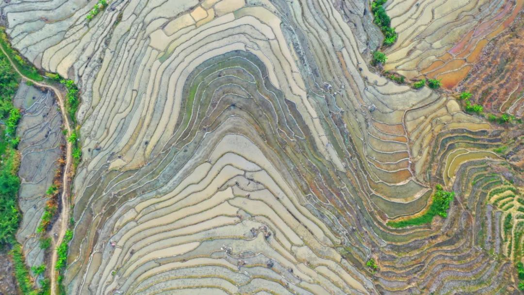 漳州华安县湖林乡石井村。黄建和