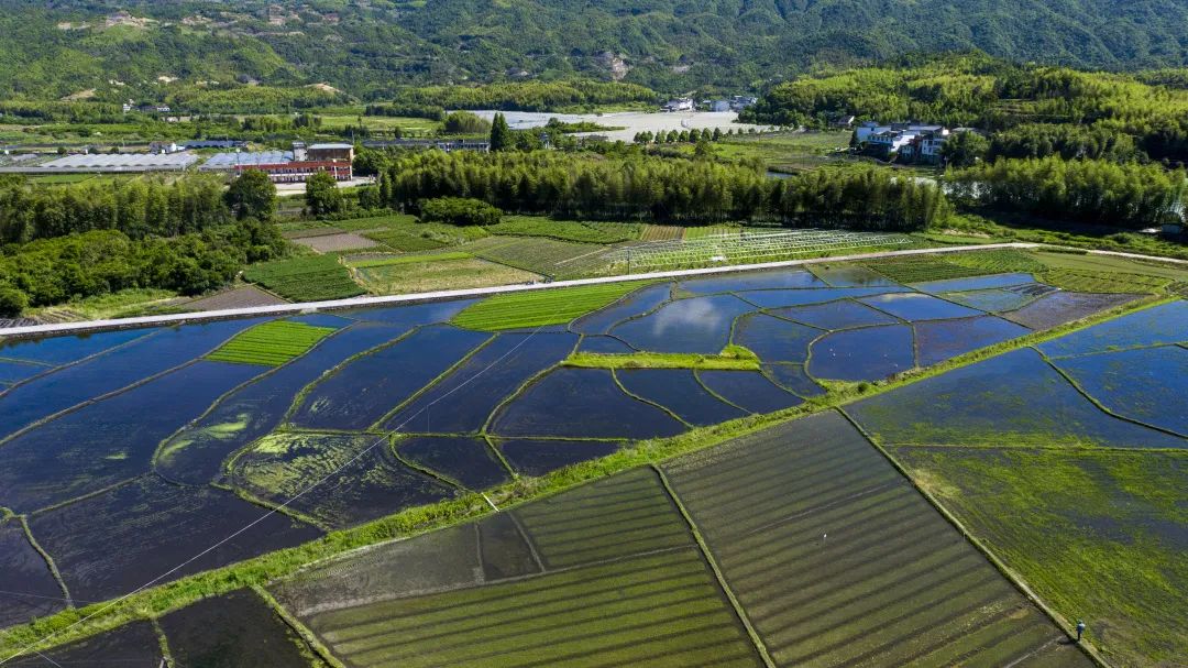 宁德柘荣县乍洋乡石山村 魏发松