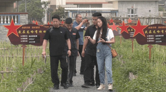 楊於萱在龍嶺村實地察看鄉村振興實施情況。漳浦縣融媒體中心供圖
