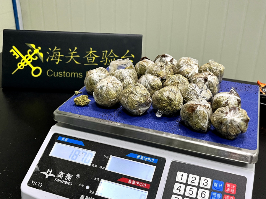 廈門海關所屬泉州海關關員在入境快件中查獲的187克大麻干植。黃忠族攝