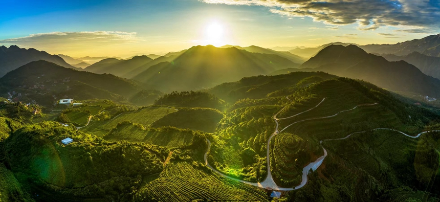 风景秀丽的安溪县茶山。谢旭东摄