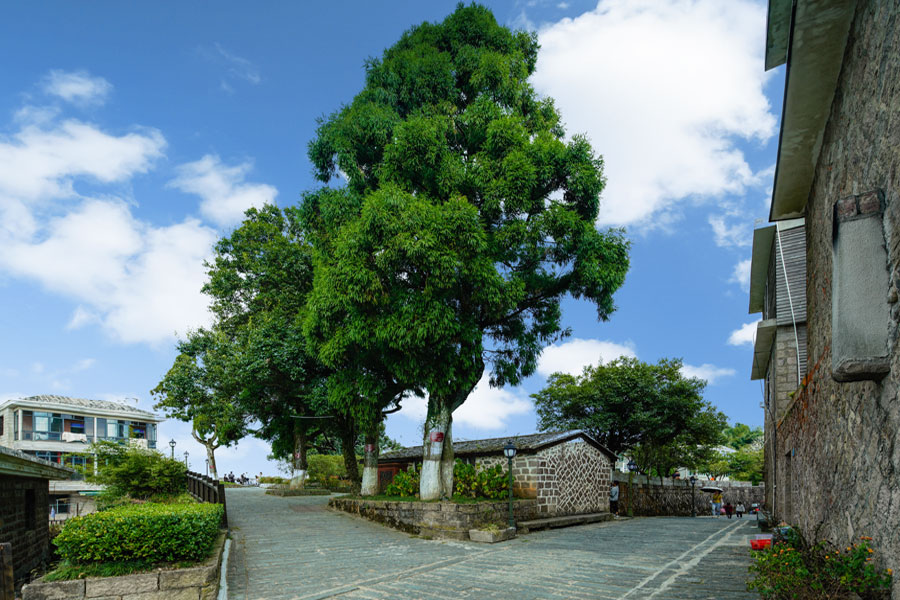 鼓岭街景。福州市鼓岭旅游度假区管理委员会供图