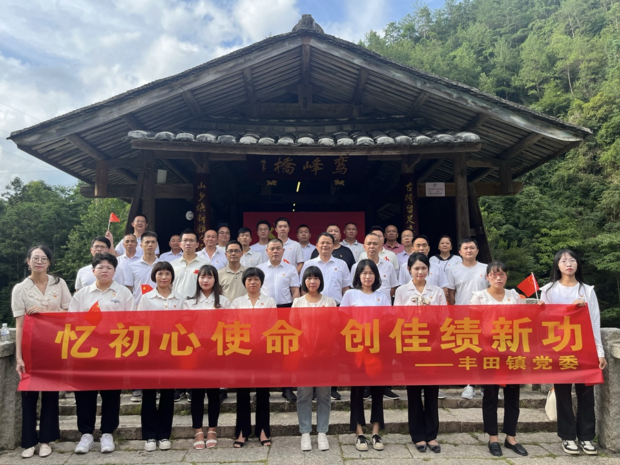 全体党员干部合影留念。丰田镇政府供图