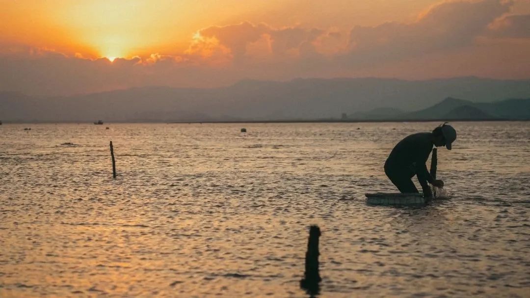 。洪浩炎攝
