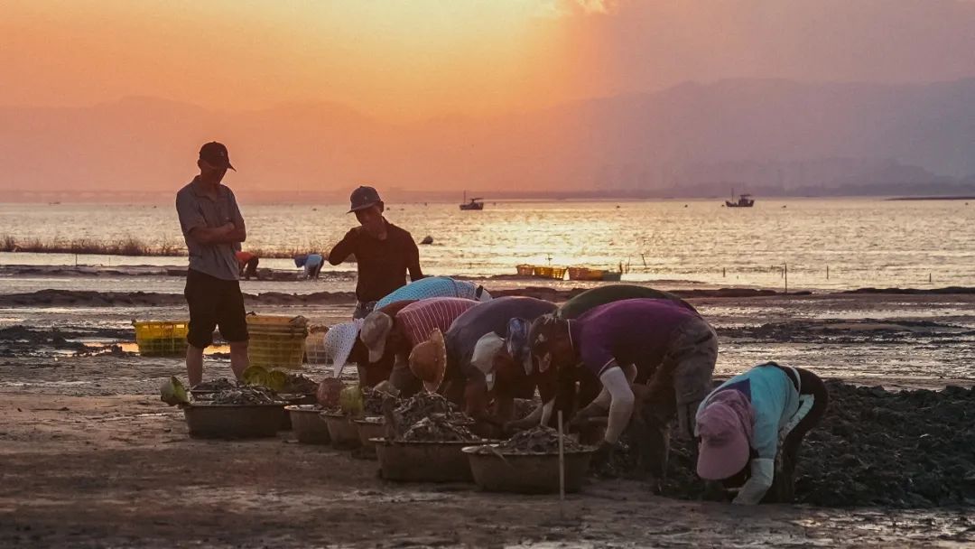 。洪浩炎攝