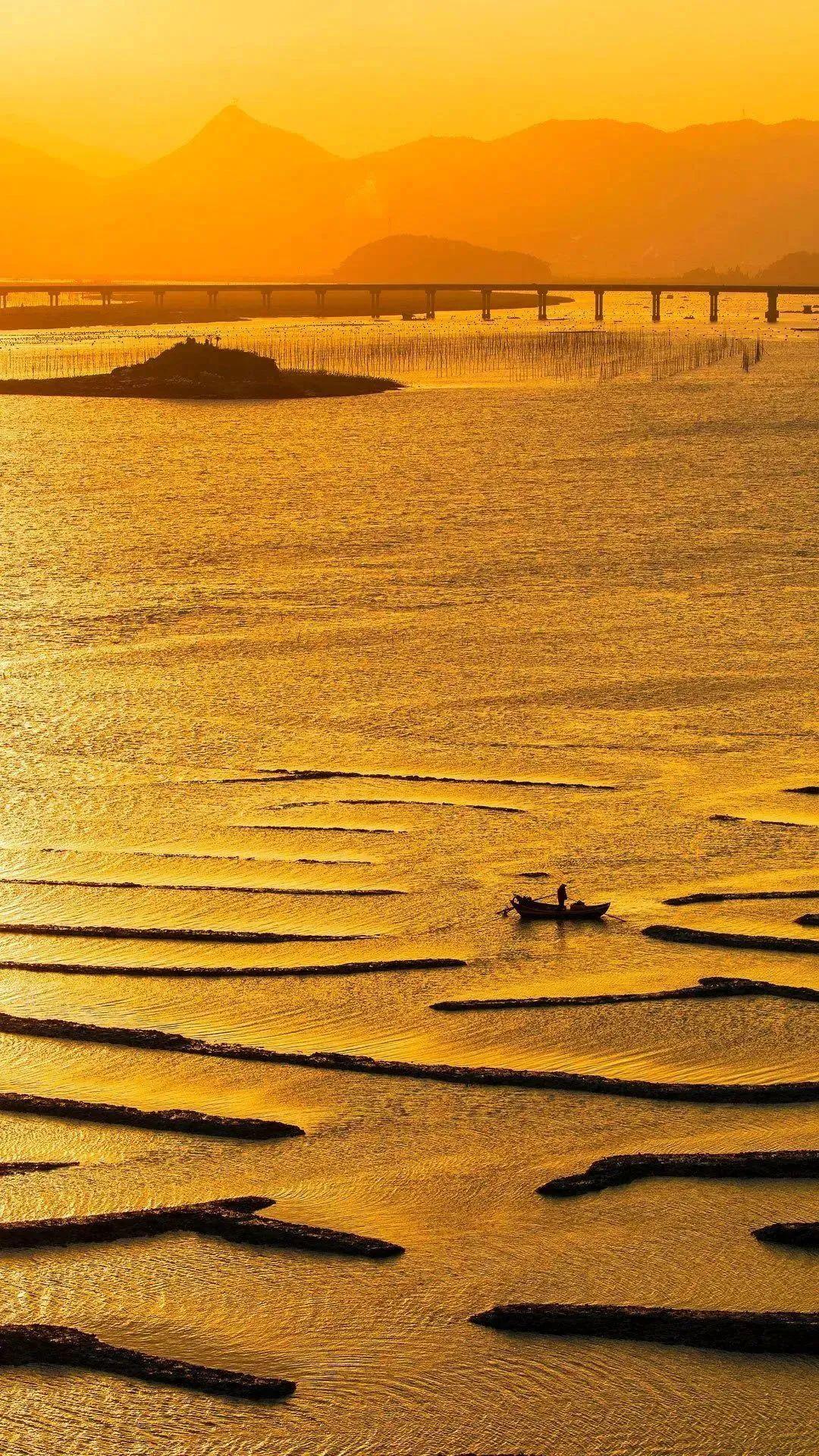 霞浦縣灘涂。陳慈蕊攝