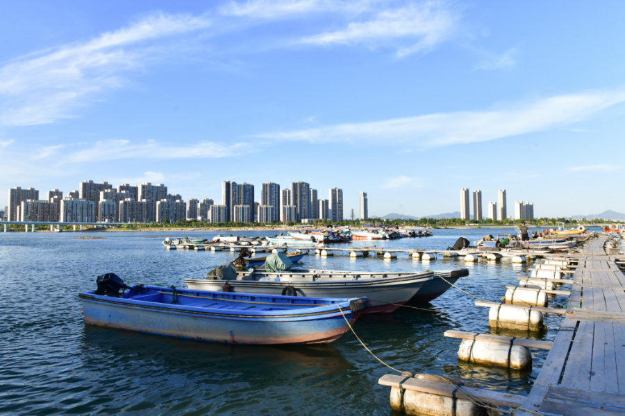 避風塢內，漁船有序進港避風。夏海濱攝