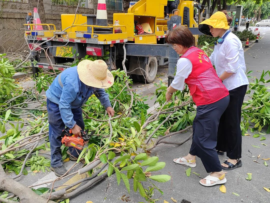 提前修剪樹枝。江頭街道供圖