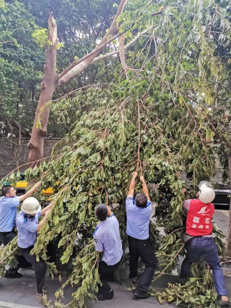 派出所民警和社区网格员及时清理掉落枯枝，确保道路畅通。嘉莲街道供图