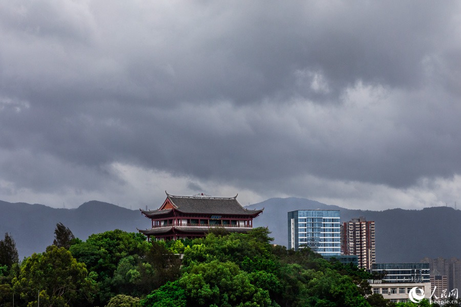 7月27日早晨，福州。人民網 焦艷攝