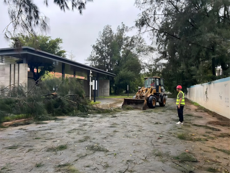 清除道路树枝。中建海峡供图