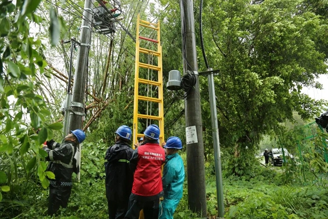 抓緊時間檢修設備。國網福建電力供圖