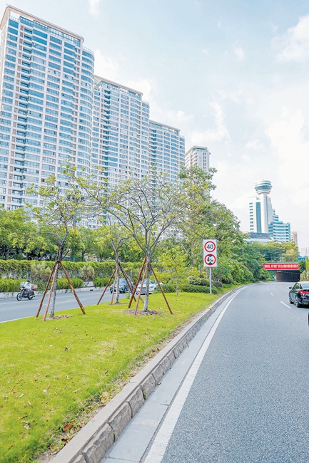 修复后世纪大道体育馆下穿路段。