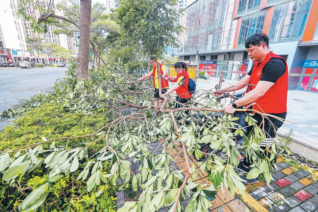 晋江青年志愿者参与城市修复。