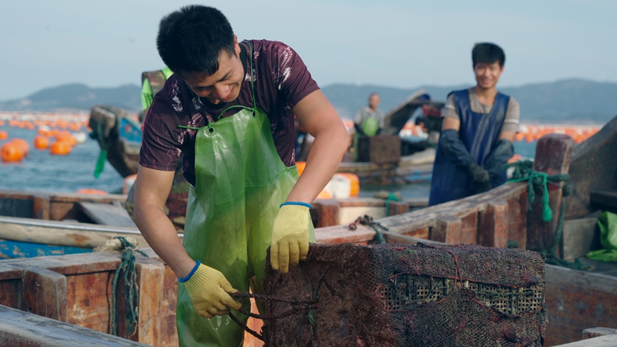 鮑魚養殖戶在海上作業。連江縣融媒體中心供圖