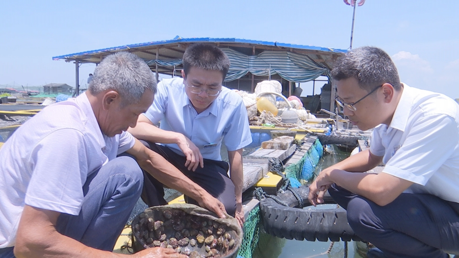 兴业银行漳州古雷支行工作人员了解养殖户资金需求并介绍信贷政策。兴业银行漳州分行供图