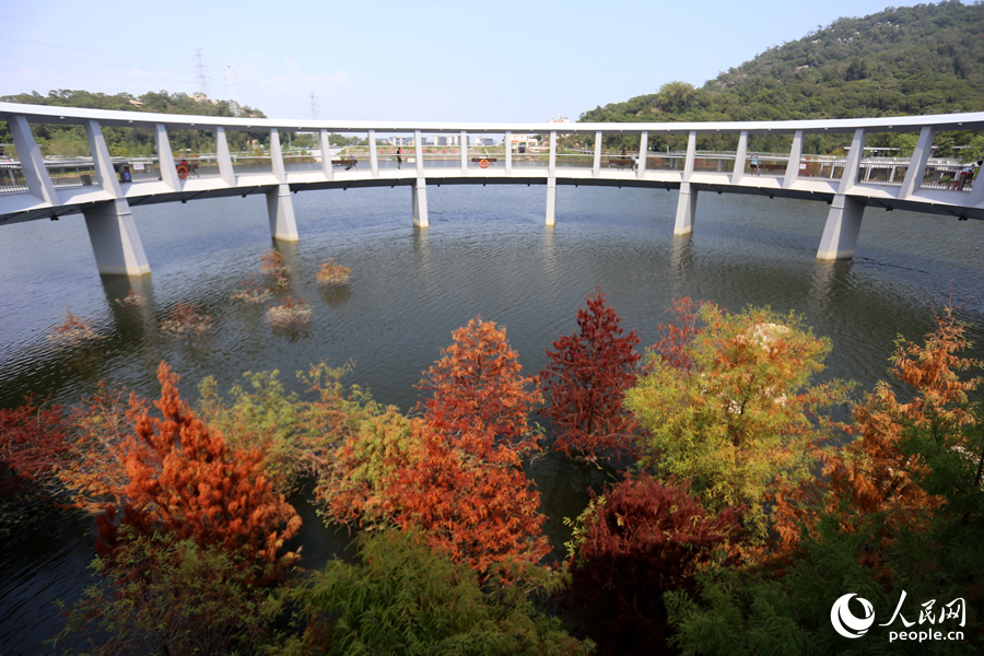 厦门山海健康步道东山环廊。人民网记者 陈博摄