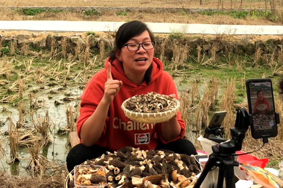 杨晨芬在田间直播卖货。受访者供图