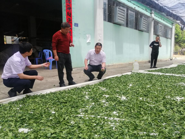 营业部员工深入县域对接农业产业化企业开展金融服务。中国农业银行福建省分行供图