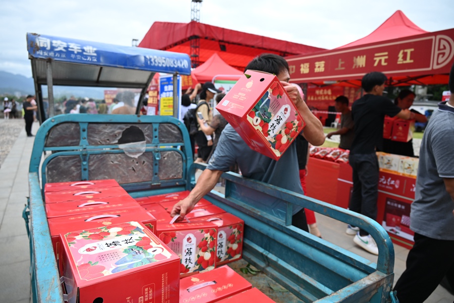 闽侯福荔农民专业合作社统一“出品”的“上洲元红”荔枝在荔枝市集上走俏。闽侯县南通镇党委供图