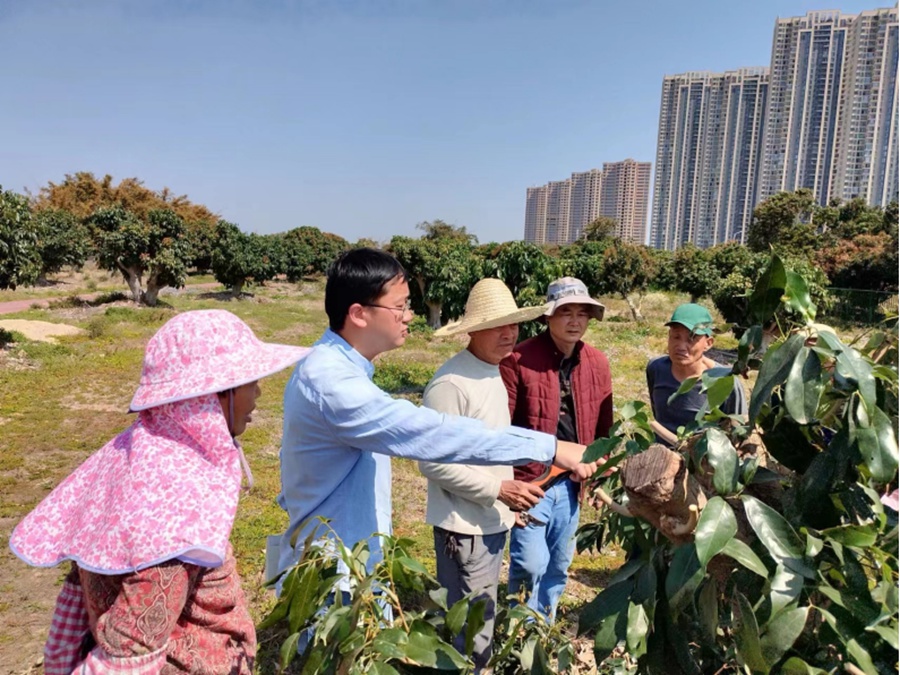 科技特派员胡文舜在指导果农进行新品嫁接。受访者供图